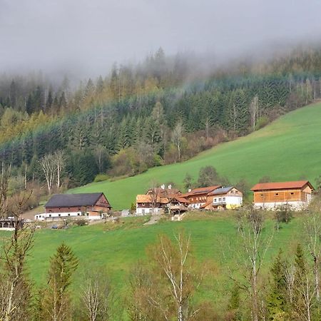 Troadkasten - Ferienhaus Am Bio-Bergbauernhof Aflenz Kurort Exteriér fotografie