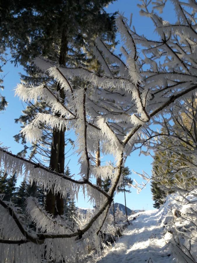 Troadkasten - Ferienhaus Am Bio-Bergbauernhof Aflenz Kurort Exteriér fotografie