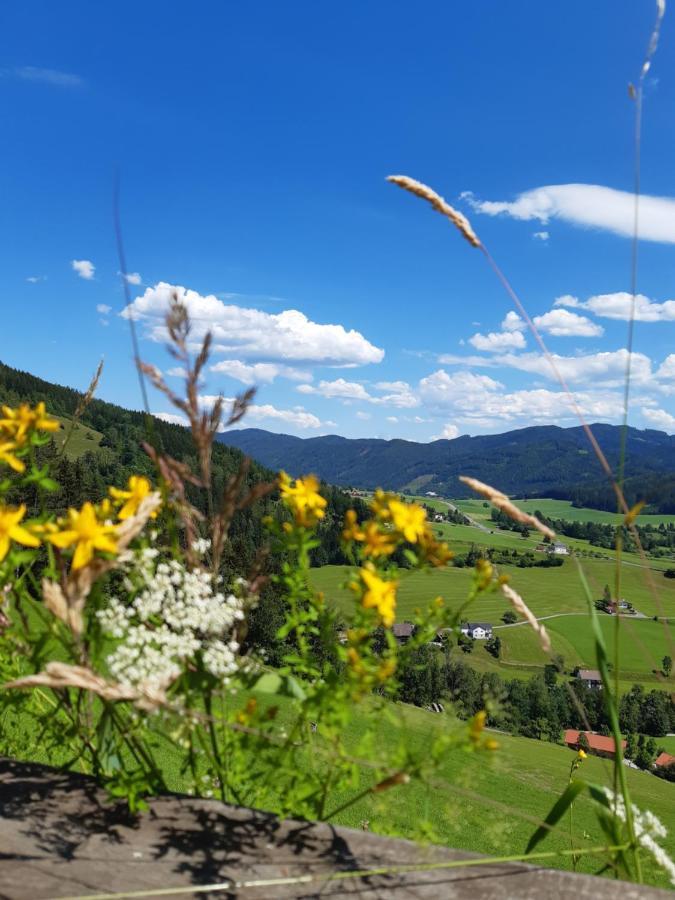 Troadkasten - Ferienhaus Am Bio-Bergbauernhof Aflenz Kurort Exteriér fotografie