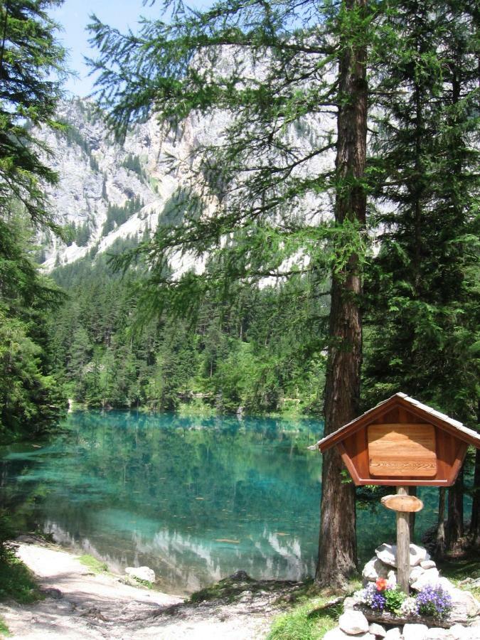 Troadkasten - Ferienhaus Am Bio-Bergbauernhof Aflenz Kurort Exteriér fotografie